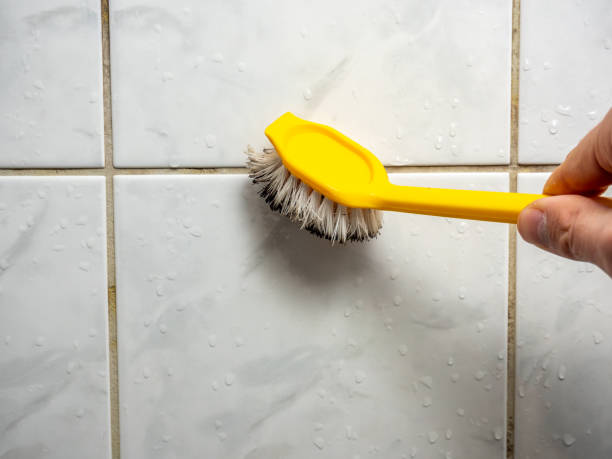 Certified Mold Removal in Lexington Park, MD